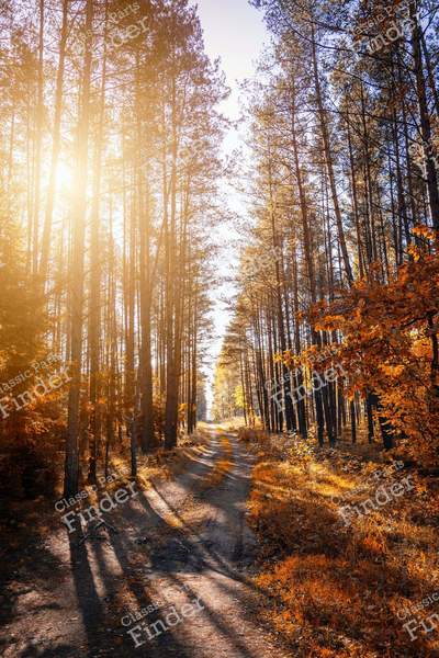 Test piece - OPEL Rekord (E) / Commodore (C) / Senator (A) / Monza (A) - 0